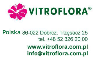 VITROFLORA sadzonki nasiona siewki rozsady byliny ro�liny doniczkowe w Polsce