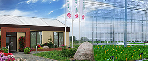 VITROFLORA sadzonki nasiona siewki rozsady byliny ro�liny doniczkowe w Polsce